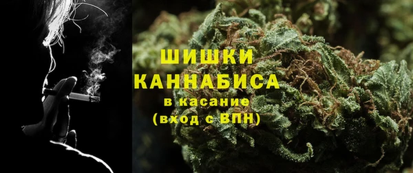 spice Горняк