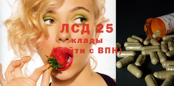 spice Горняк