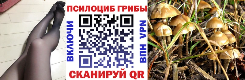 даркнет сайт  дарк нет формула  Псилоцибиновые грибы MAGIC MUSHROOMS  Рошаль 